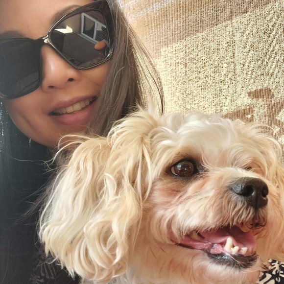 Meet your Posher, Beatrice - Picture 5 of 12